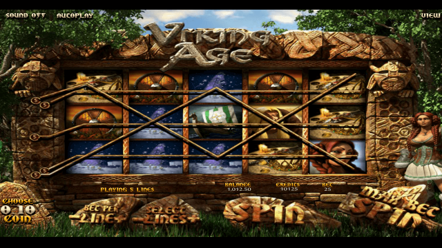 Viking Age